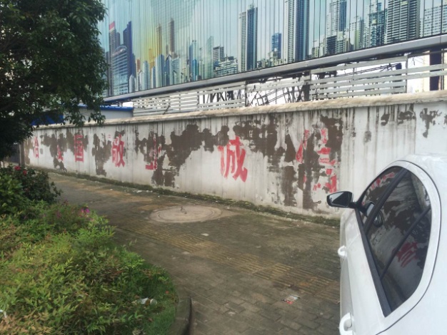 qmh球盟会组织开展商务区环境综合治理工作