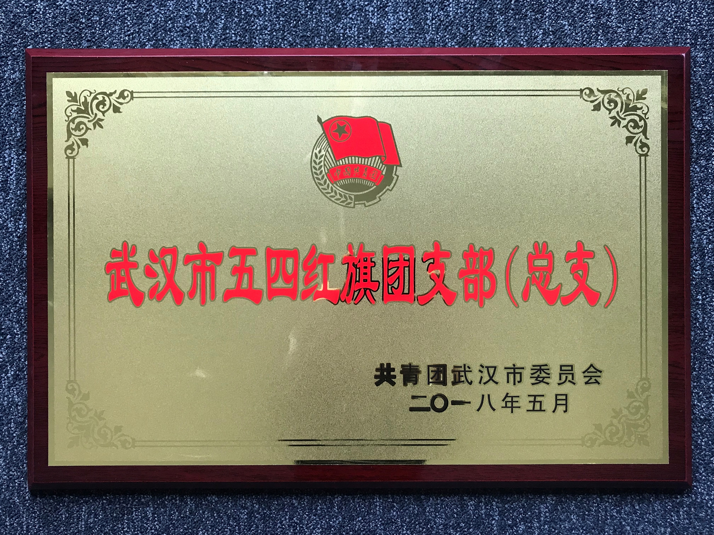 不忘初心跟党走 青春建功新时代——中城团总支荣获“武汉市五四红旗团支部（总支）”光荣称号