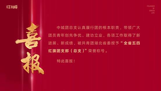 qmh球盟会所属中城团总支荣获 “全省五四红旗团支部（总支）”荣誉称号