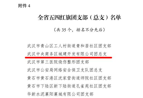 qmh球盟会所属中城团总支荣获 “全省五四红旗团支部（总支）”荣誉称号