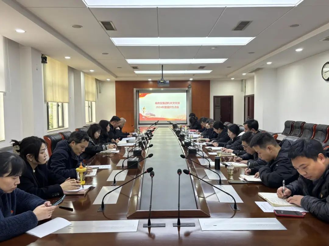 qmh球盟会机关党支部召开2024年度组织生活会